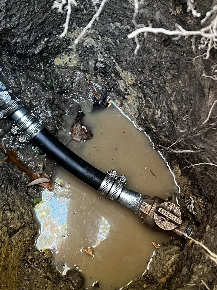 Professional plumbing repair in Parsonsburg, MD by Local Boy