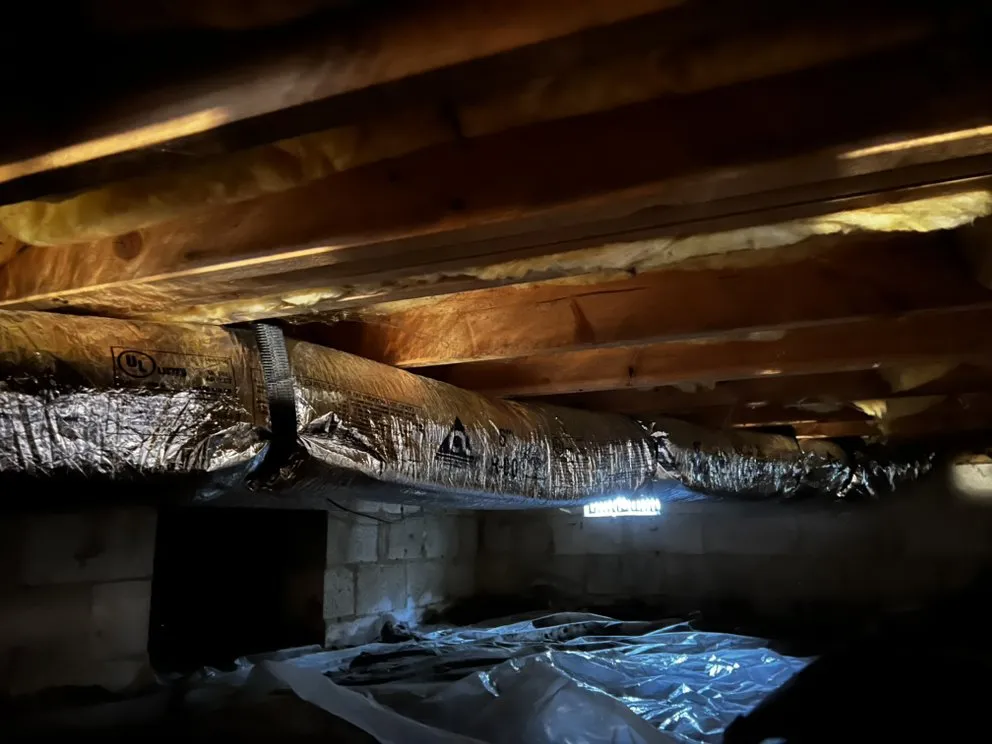 Emergency pipe repair service in Parsonsburg, MD - Local Boy
