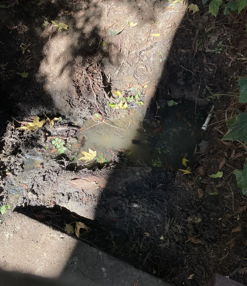 Slide of Local Drain Cleaning Specialists