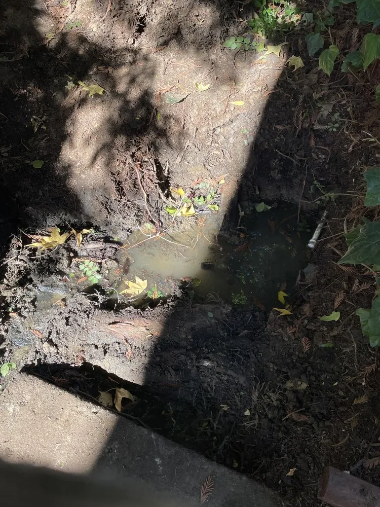 Slide of Local Drain Cleaning Specialists