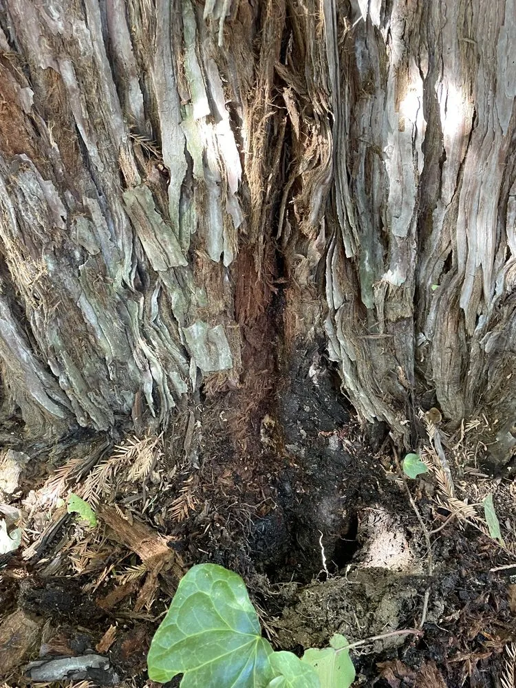 Slide of Local Drain Cleaning Specialists