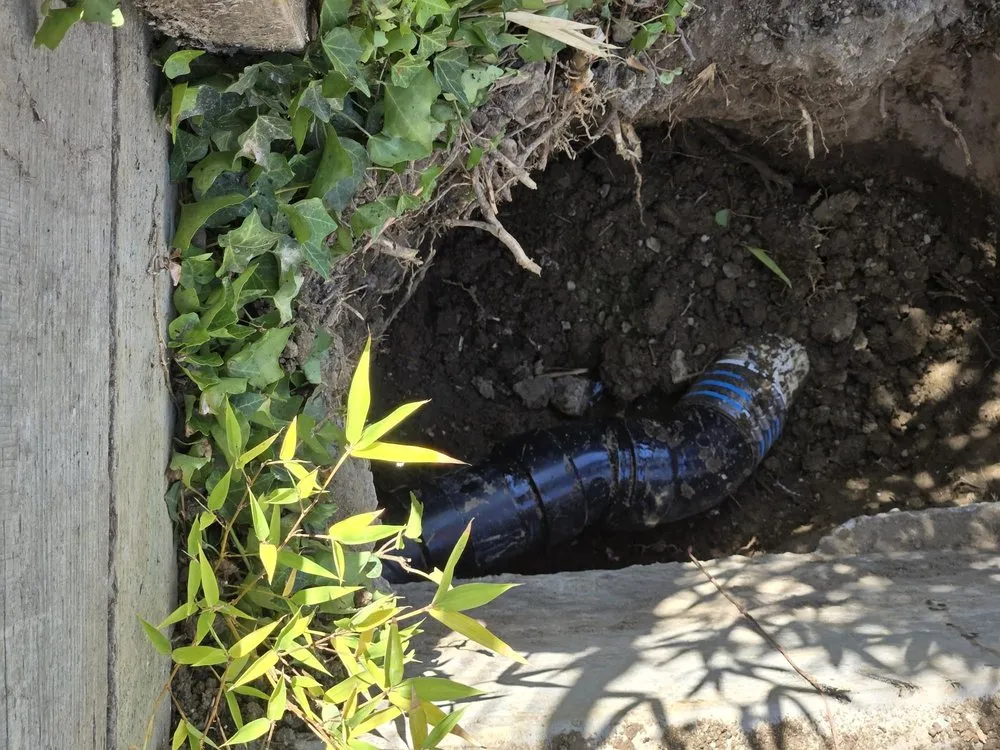 Slide of Local Drain Specialist