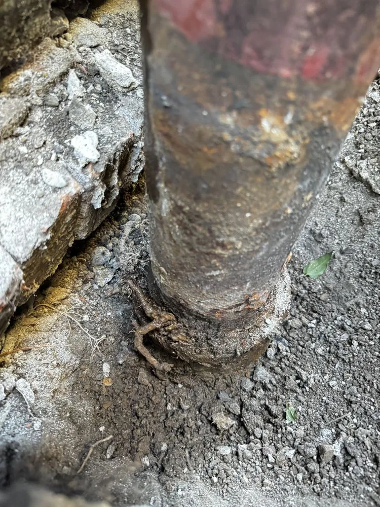 Slide of Local Drain Specialist