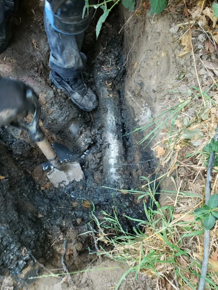 Slide of Local Drain Specialist