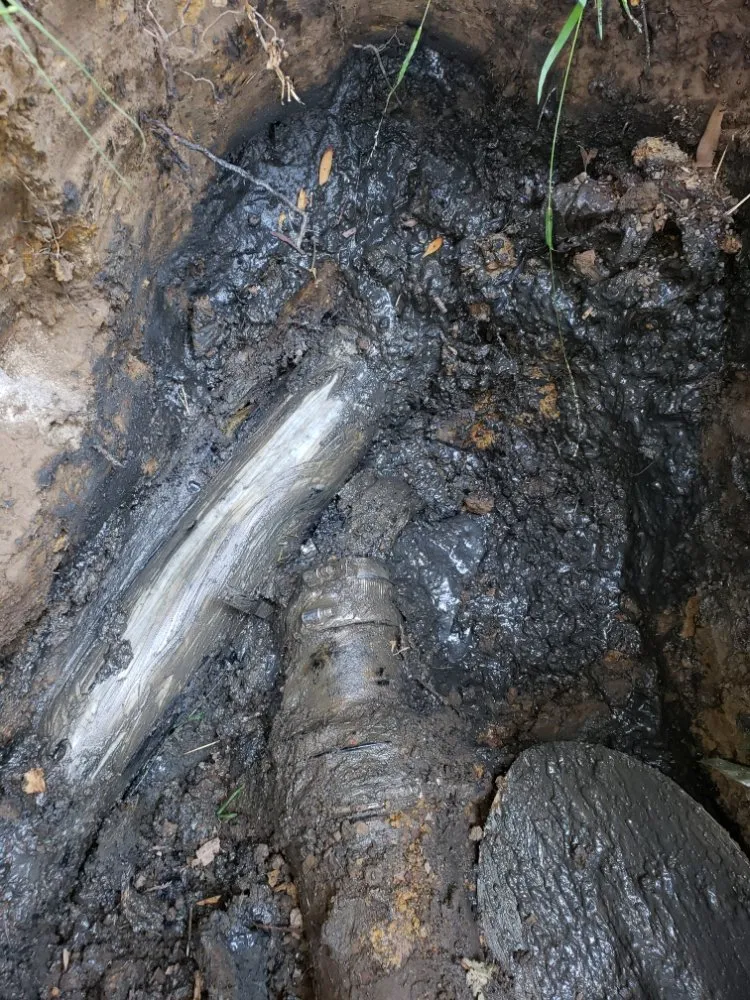 Professional drain cleaning service in Martinez, CA - Local Drain Specialist