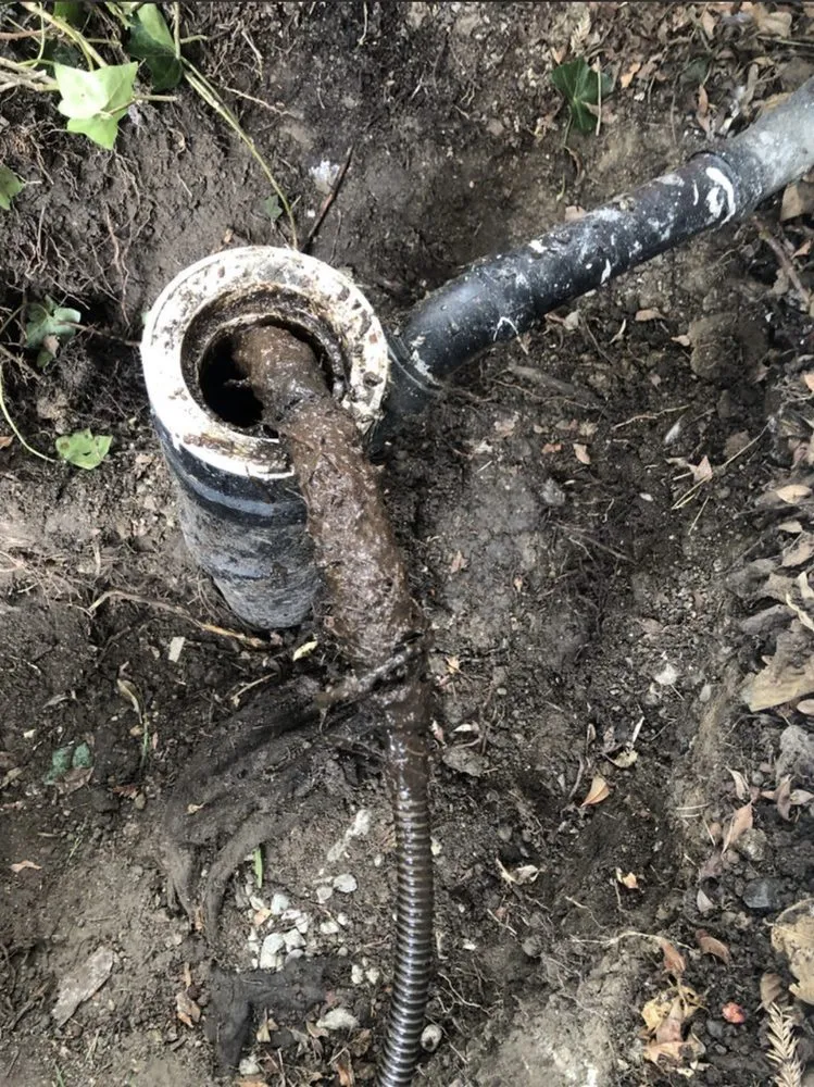 Slide of Local Drain Specialist