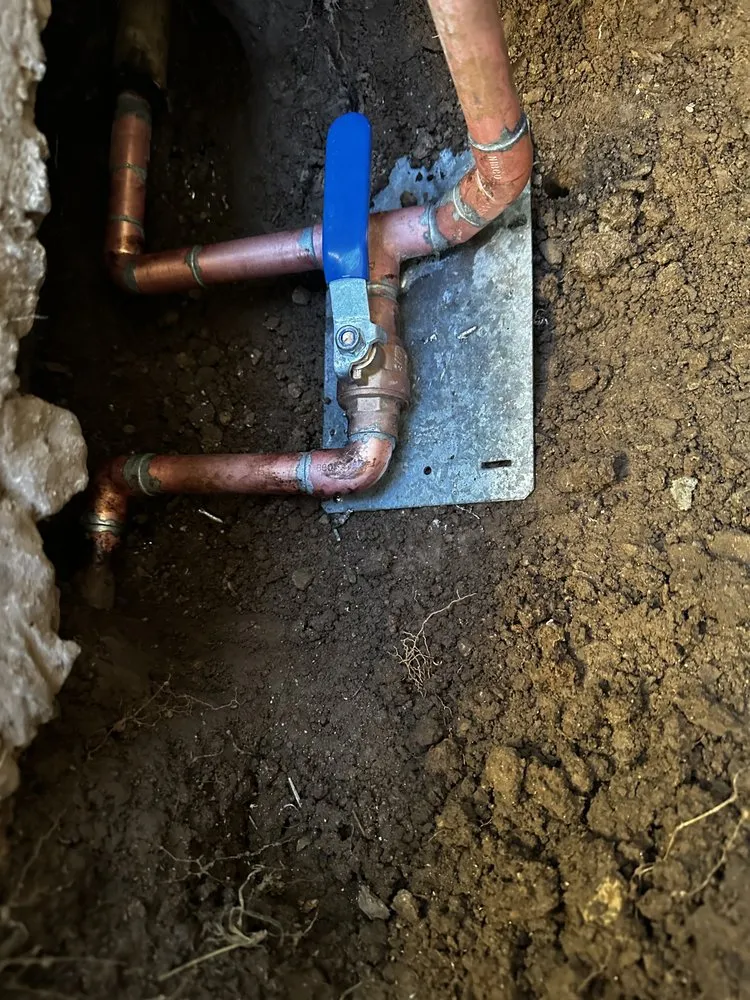 Slide of Local Lady Plumbing