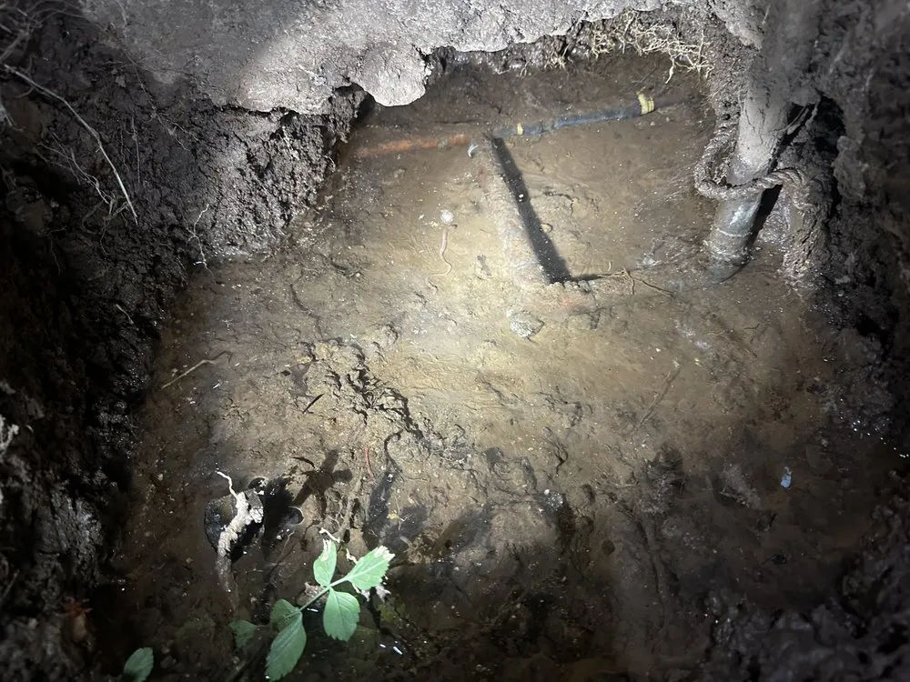 Slide of Local Lady Plumbing