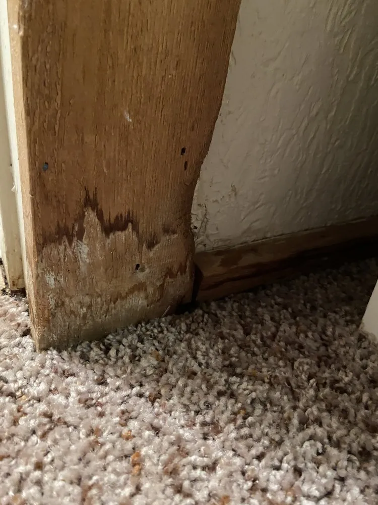 Slide of Local Plumbing