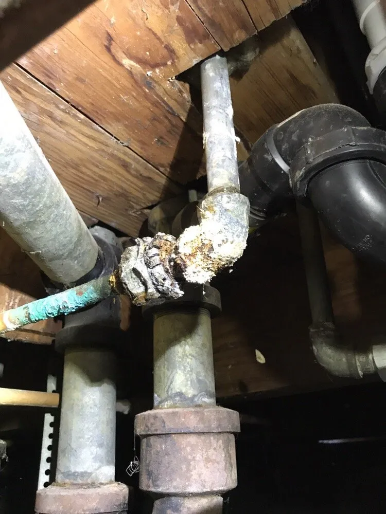 Slide of Local Rooter