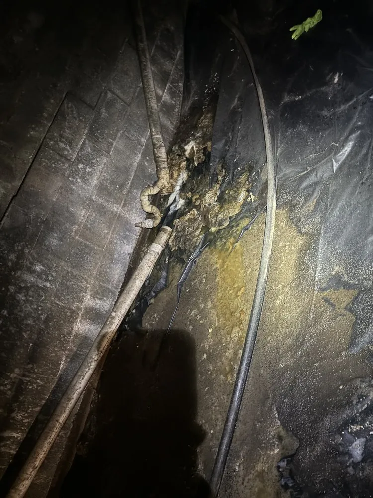 Slide of Lock’s Plumbing