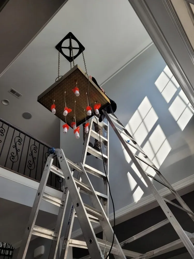 Slide of LoDi Handyman Pro