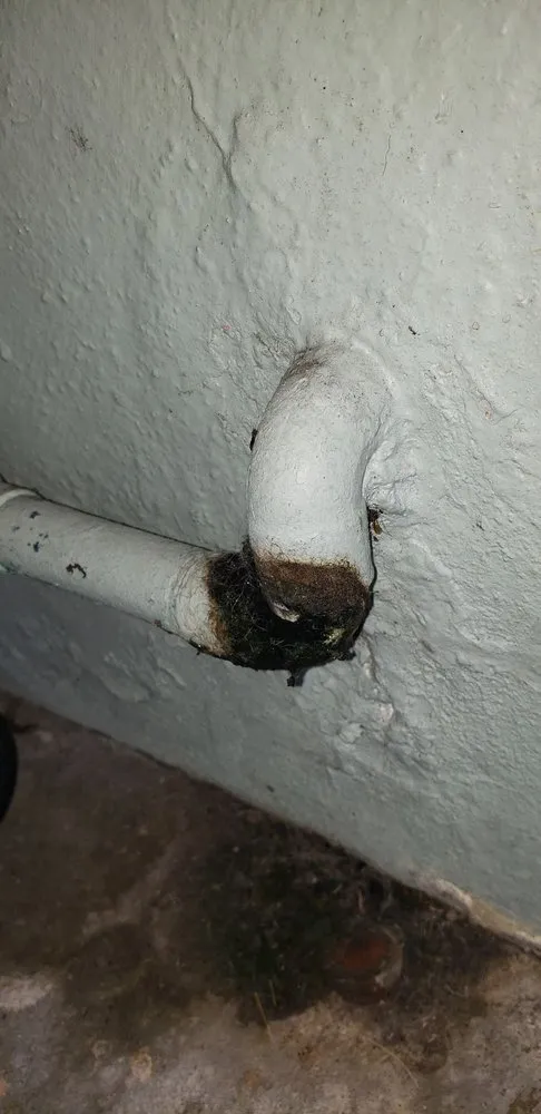 Slide of LOG Water Service