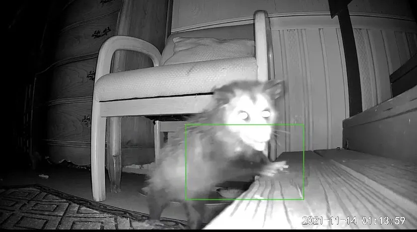 Slide of Logan's 911 Handyman Service