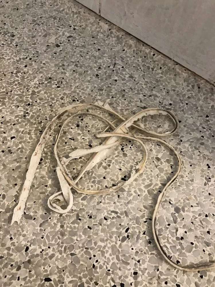 Slide of Logan's 911 Handyman Service