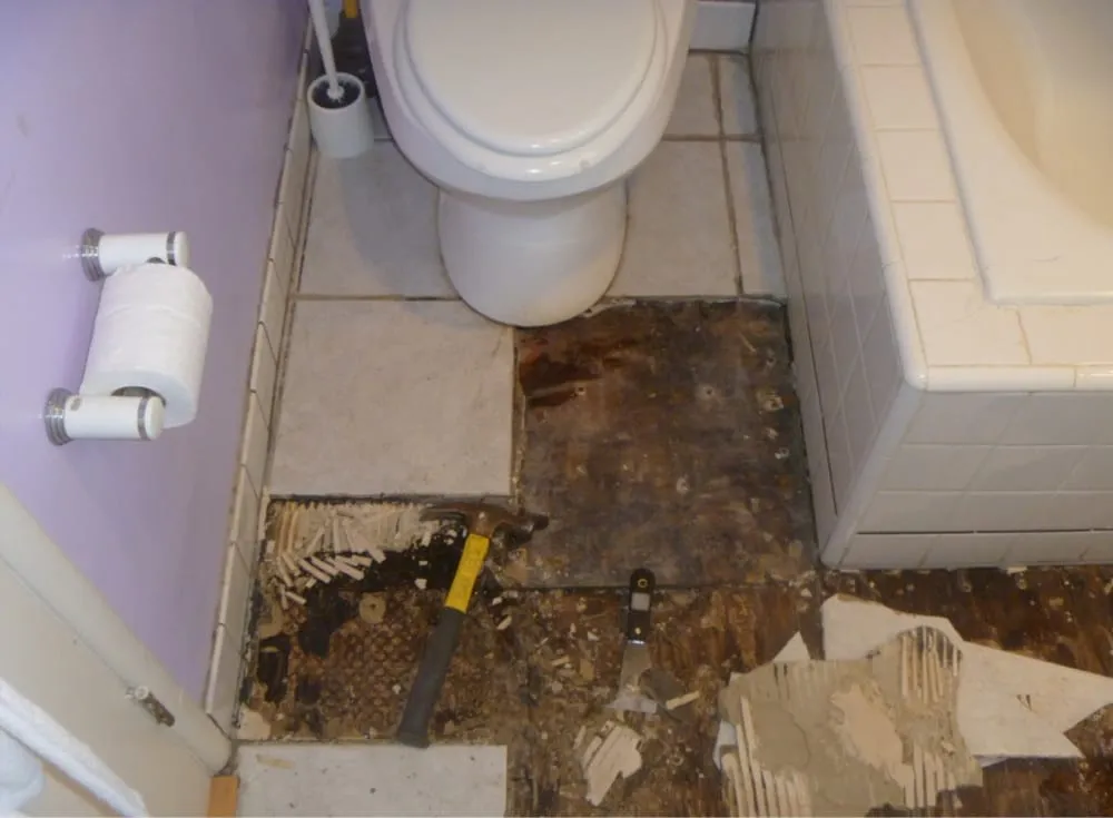 Slide of Loma Linda Plumbing