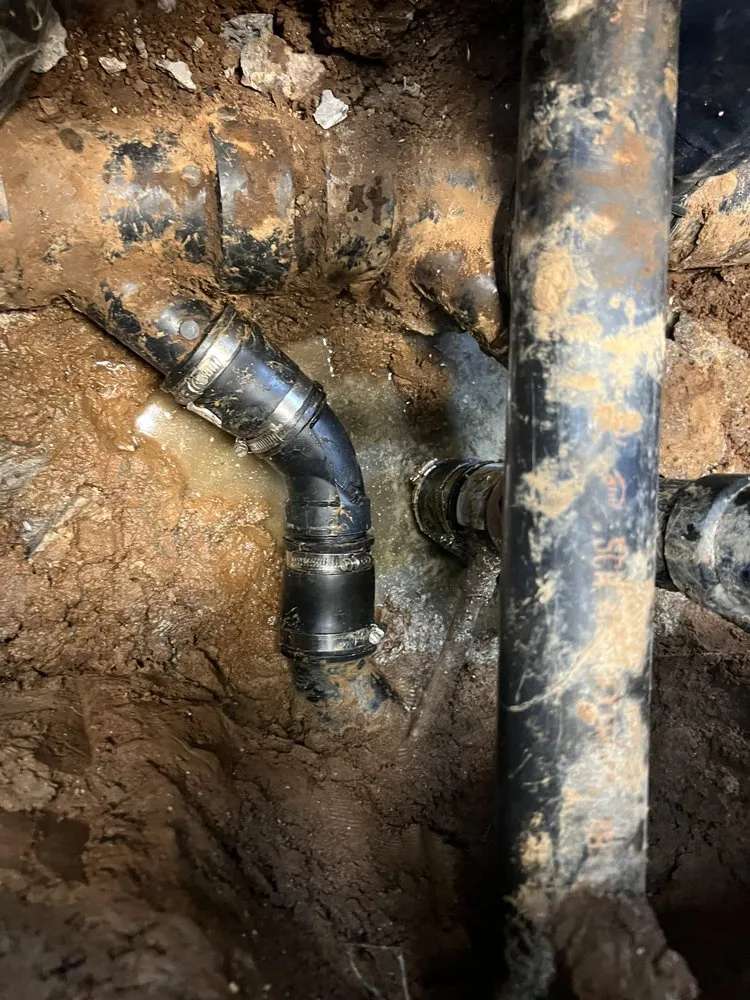 Slide of Lomas Rooter