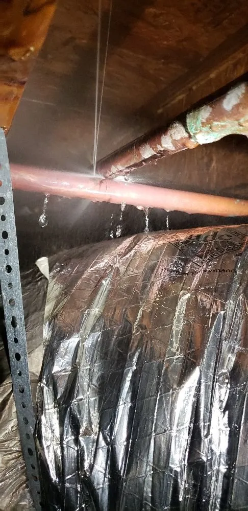 Slide of Lone Wolf Plumbing