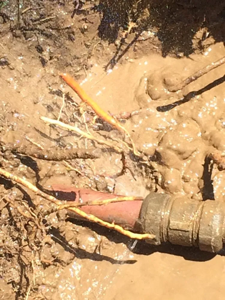 Slide of Long Beach Plumbing Company