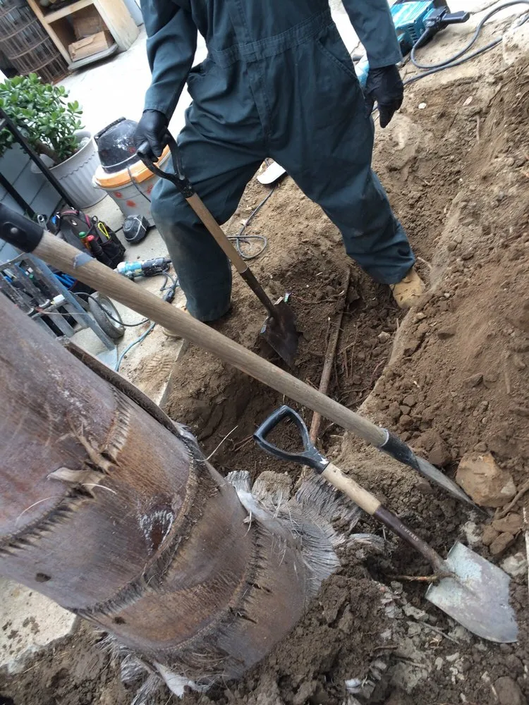 Reliable plumbing repair for homes in Long Beach, CA by Long Beach Plumbing Company