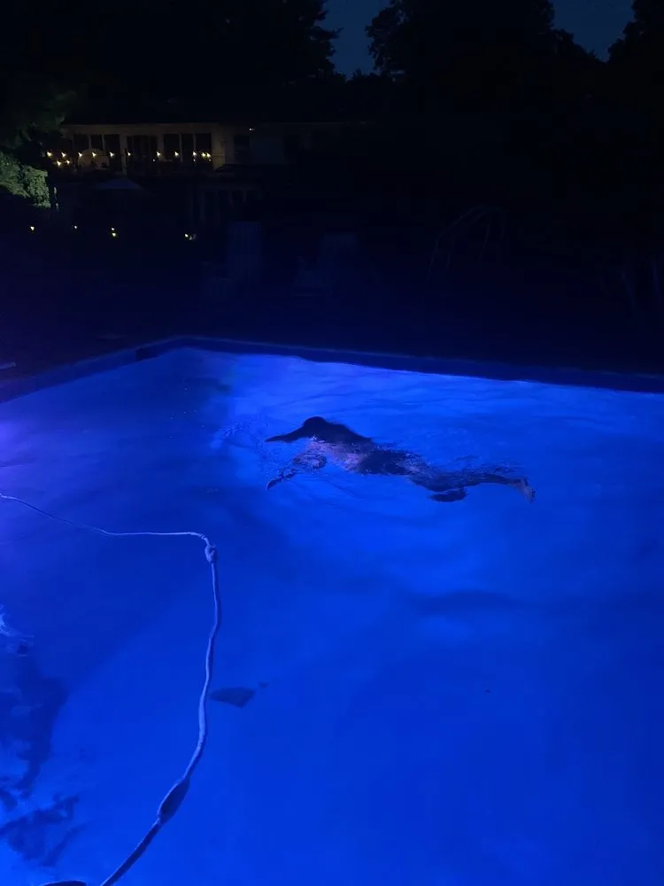 Slide of Long Island Marble Dusting