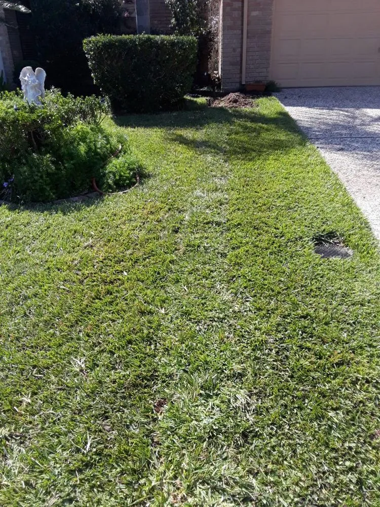 Slide of Longhorn Drain Company