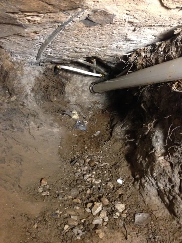 Slide of Longhorn Water