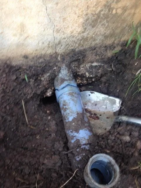 Slide of Longhorn Water