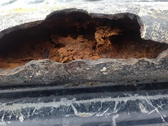 Slide of Longhorn Water