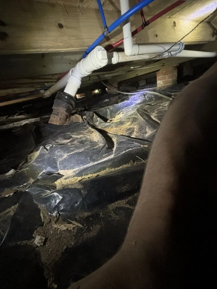 Slide of Lopers Services