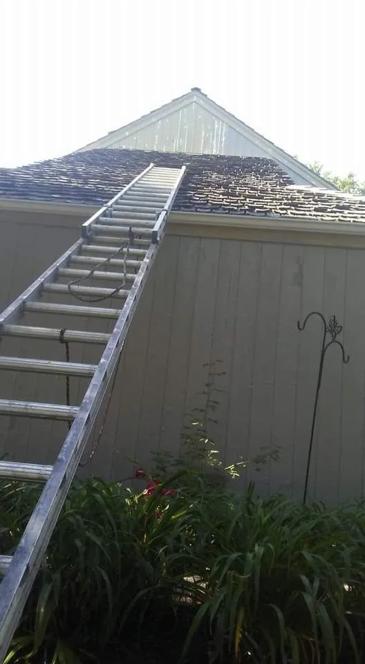 Slide of Lopez Improvement