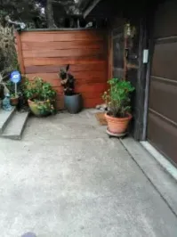 Slide of Lopez Ladderworks