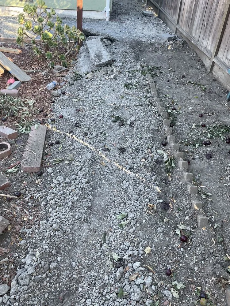 Slide of Lopez Maintenance