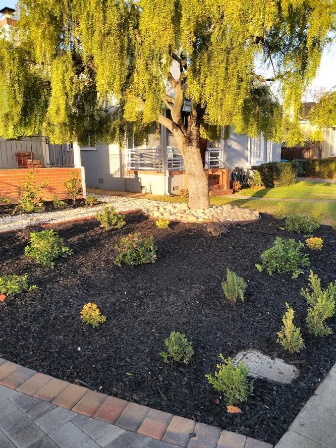 Slide of Lopez Maintenance