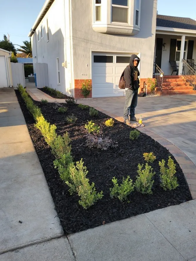 Slide of Lopez Maintenance