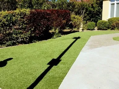 Slide of Lopez Maintenance