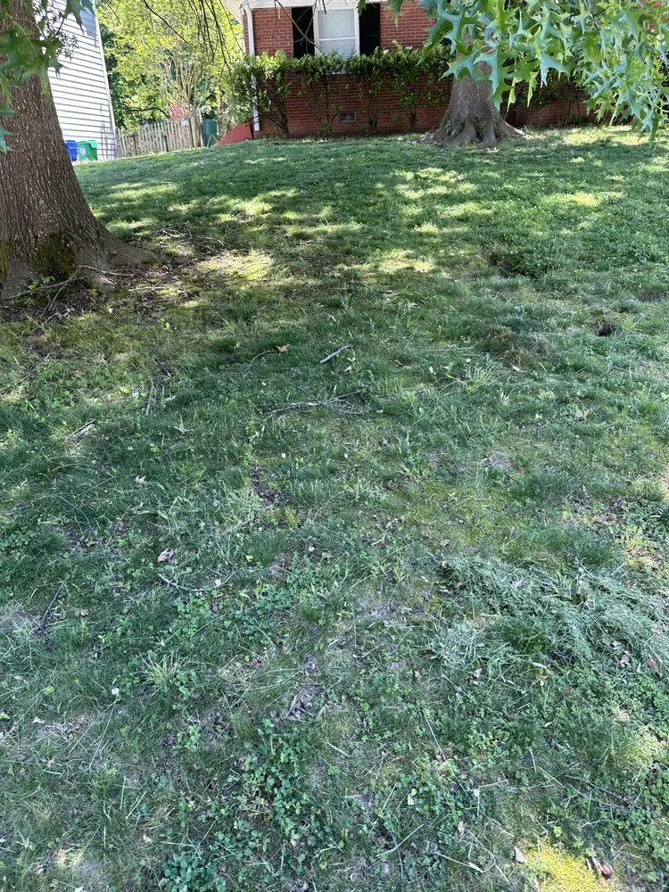 Slide of Lopez Remodeling