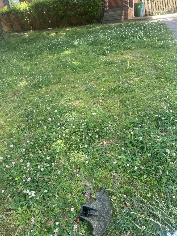 Slide of Lopez Remodeling