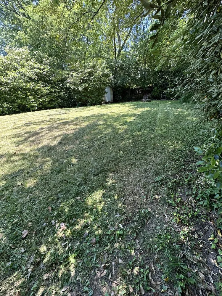 Slide of Lopez Remodeling