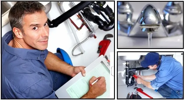 Slide of Lopez Rooter