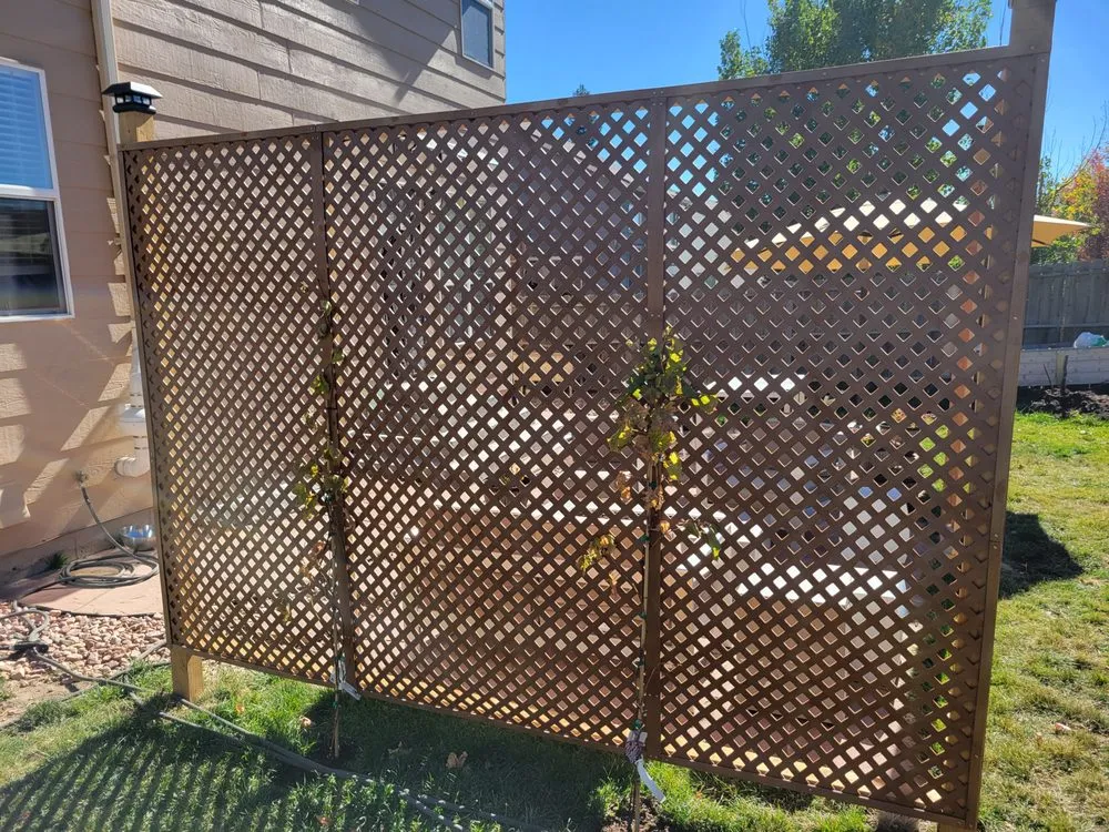 Slide of Lorenz Repair