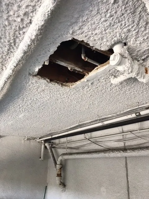 Slide of Los Plumbers