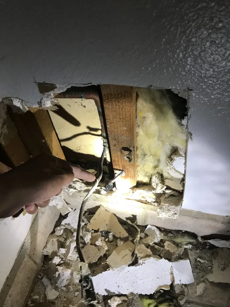 Slide of Los Plumbers