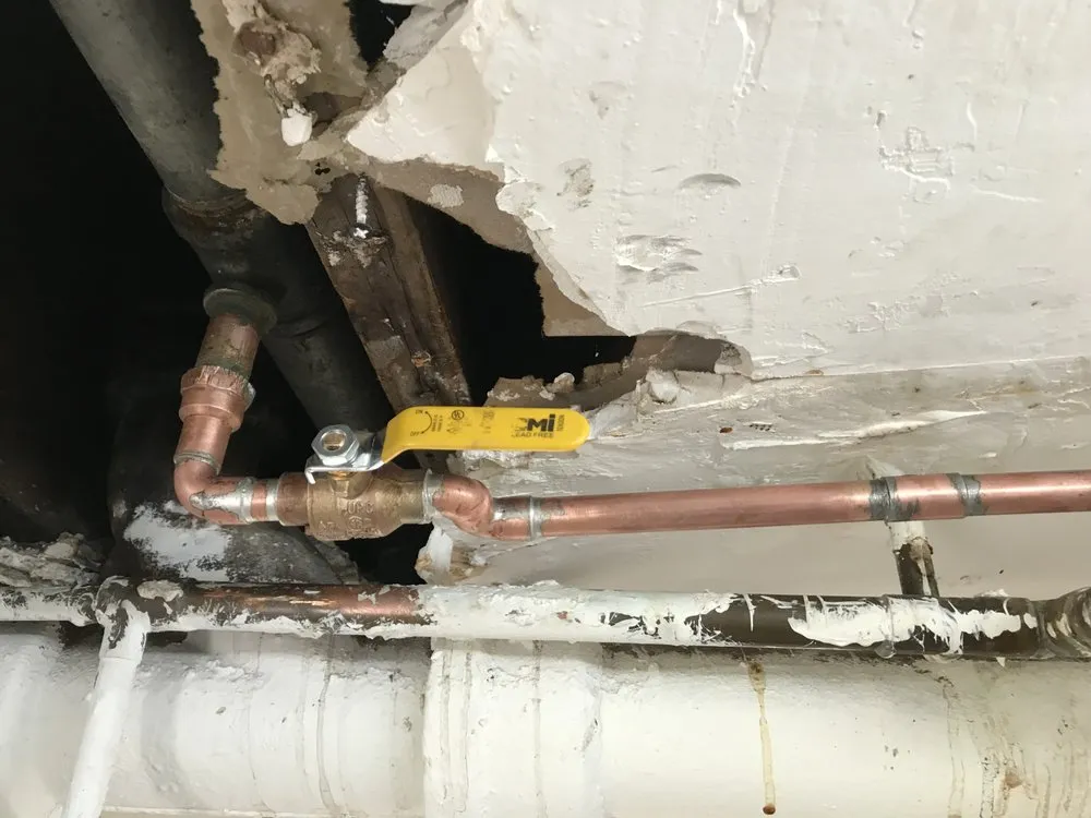 Slide of Los Plumbers