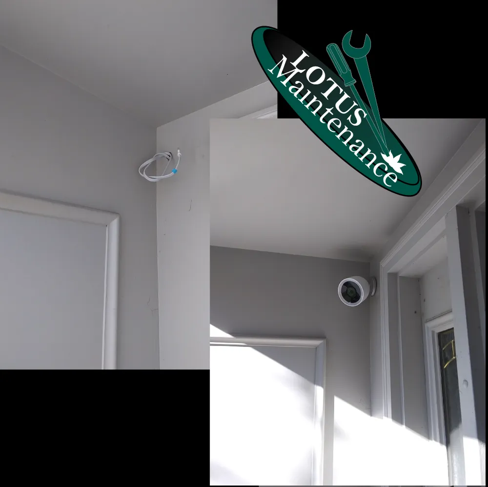 Slide of Lotus Maintenance