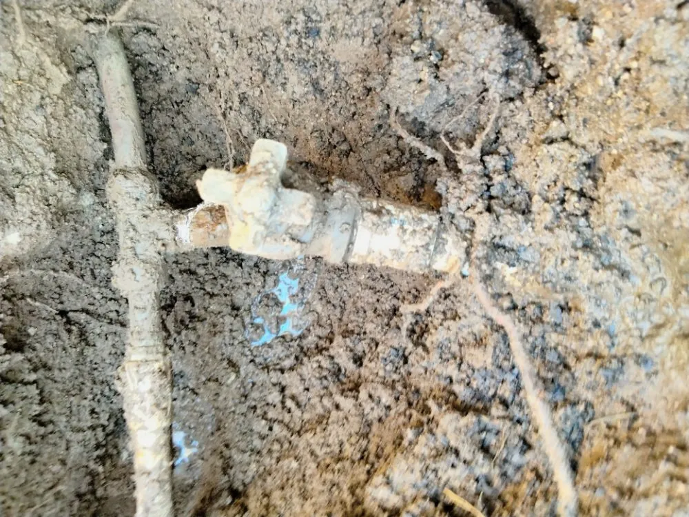 Slide of Louie & Sons Sewer & Drain