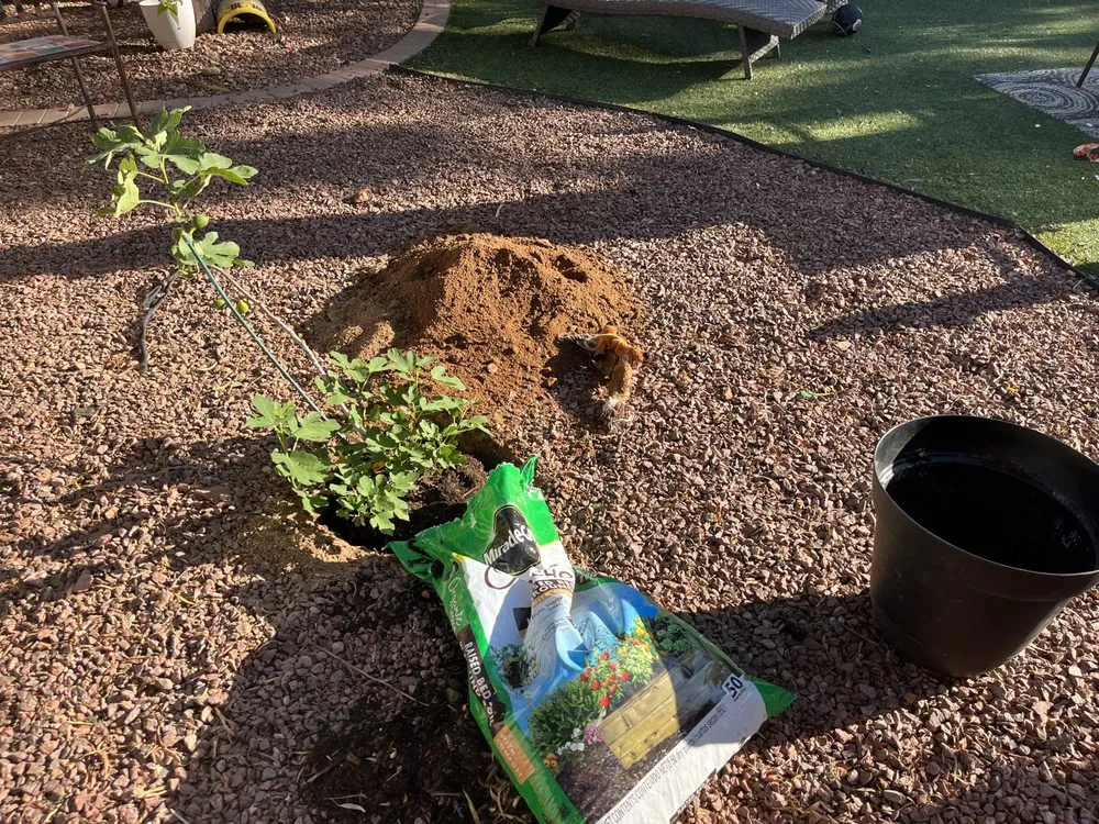 Slide of Louis Home Services