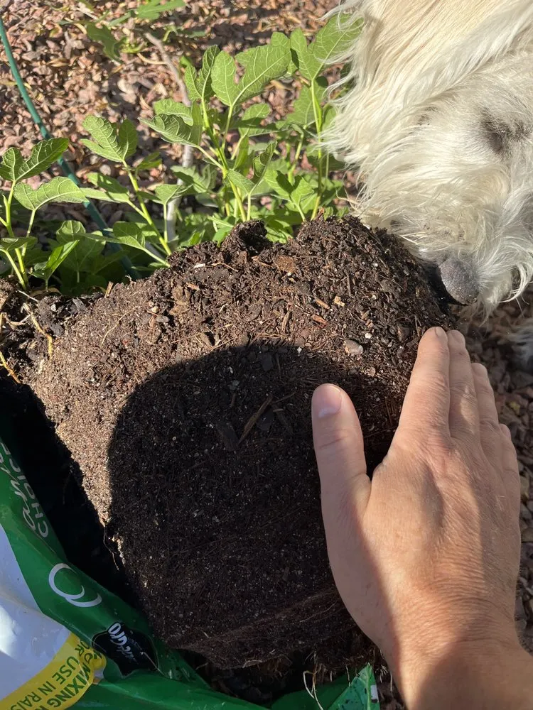 Slide of Louis Home Services