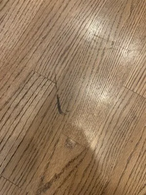 Low-Co Sewer & Drain Logo