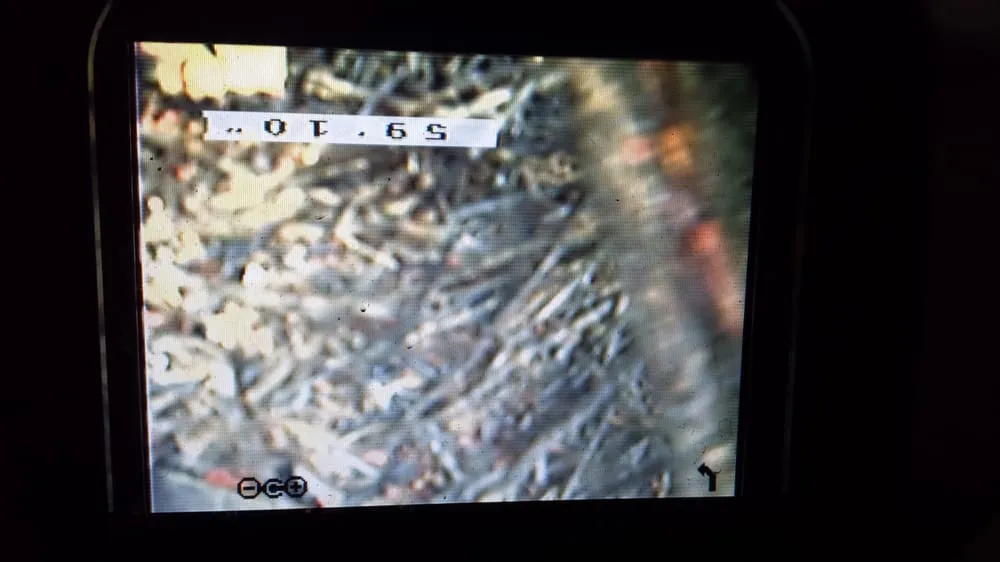 Slide of Low Cost Drain Plumbing